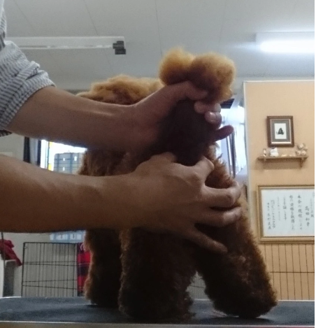 �i���Ă���l�q